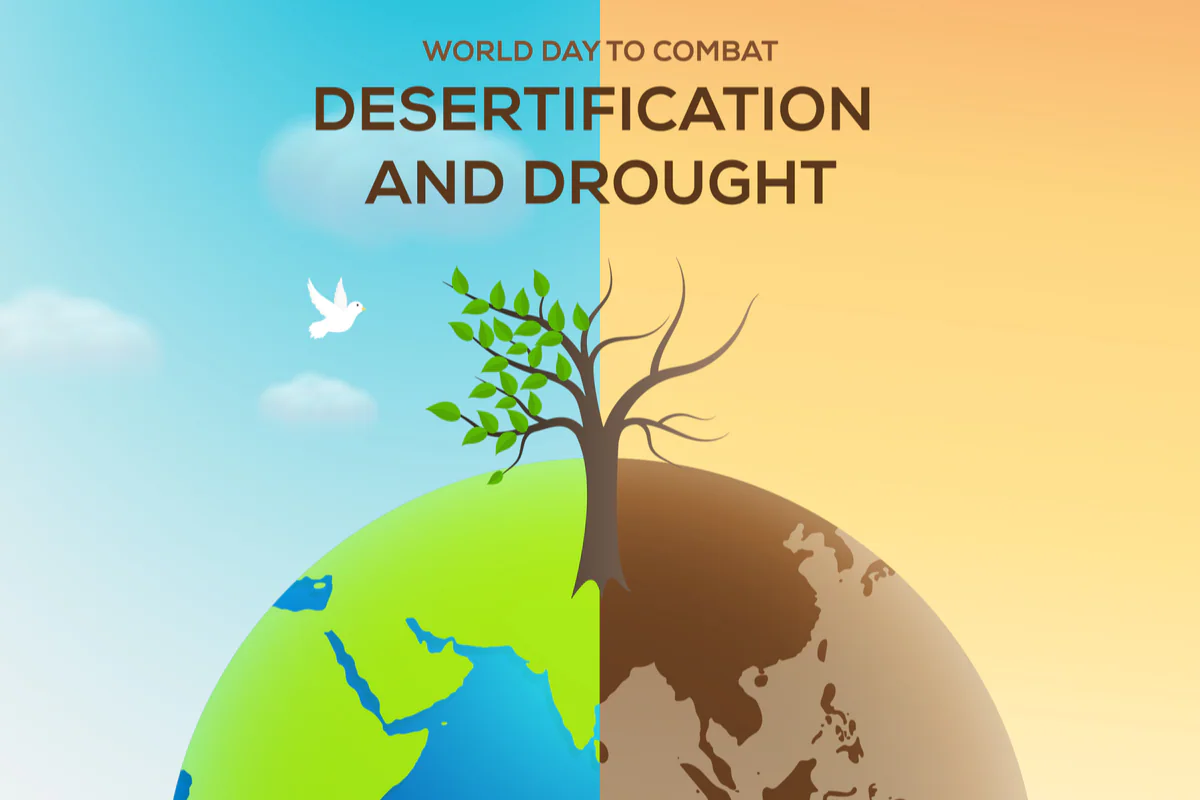 62 What Is Desertification? Major Impact, Objective Of WDCDD 2022, And ...